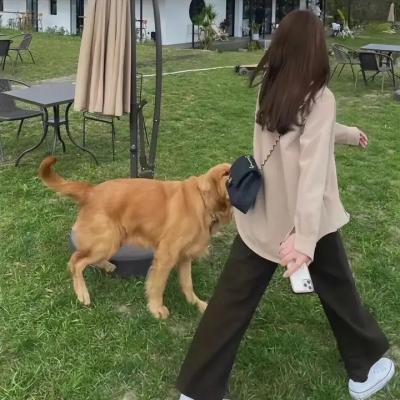 孤独的美食家 第六季